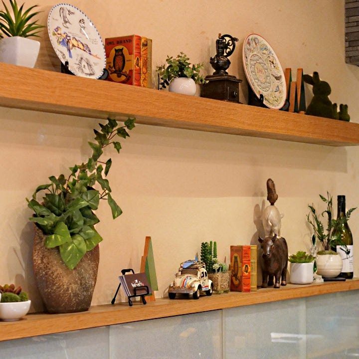 1階カウンター奥の棚。植物と雑貨が並ぶ